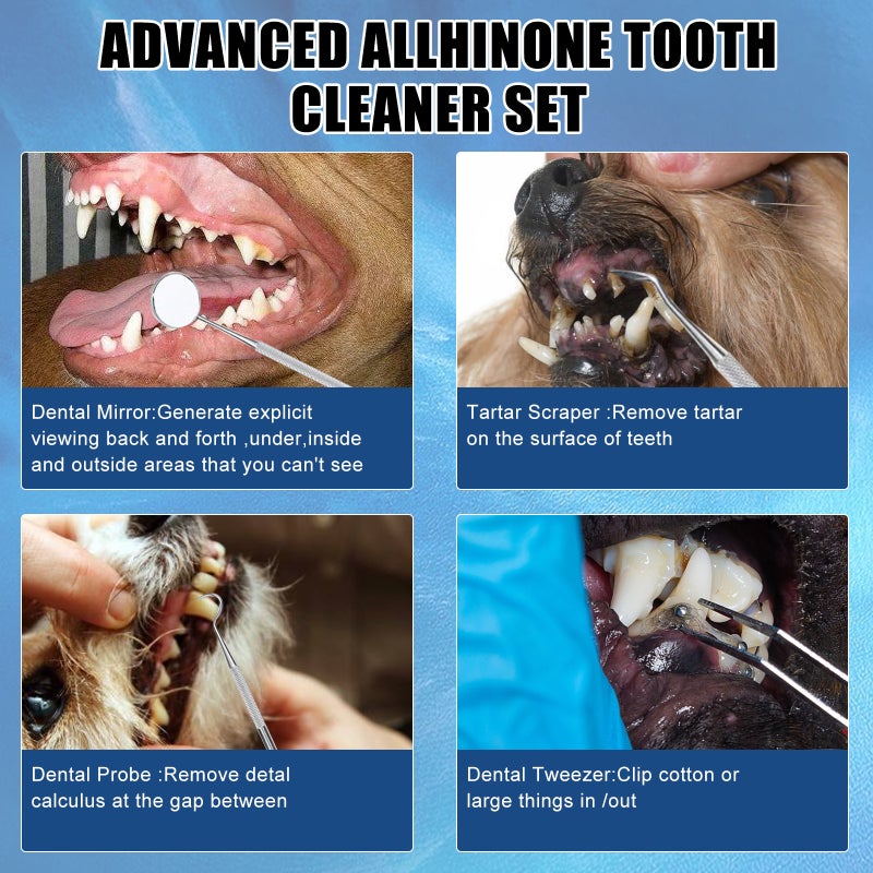 Dog Calculus Remover Pet Ultrasonic Tooth Cleaner Cat Tooth Cleaning Tool Artifact Tooth Cleaner Machine - Image 5